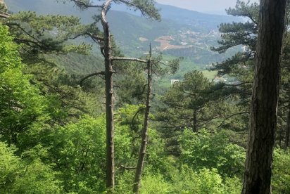 Крым