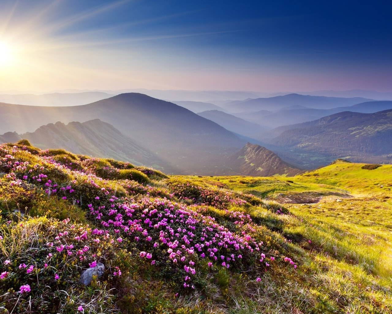 Весь Туризм